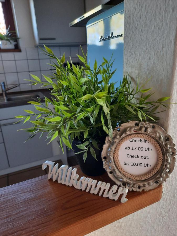 Schoene Einzimmer Wohnung Zwischen Bodensee Und Allgaeu Neukirch  Bagian luar foto
