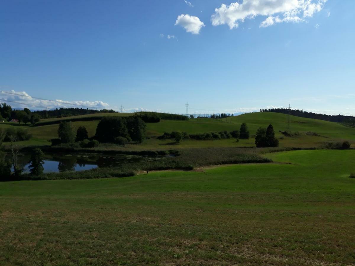 Schoene Einzimmer Wohnung Zwischen Bodensee Und Allgaeu Neukirch  Bagian luar foto